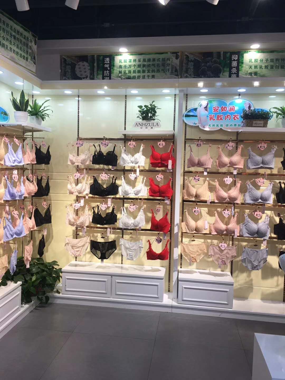 女性內衣墻柜